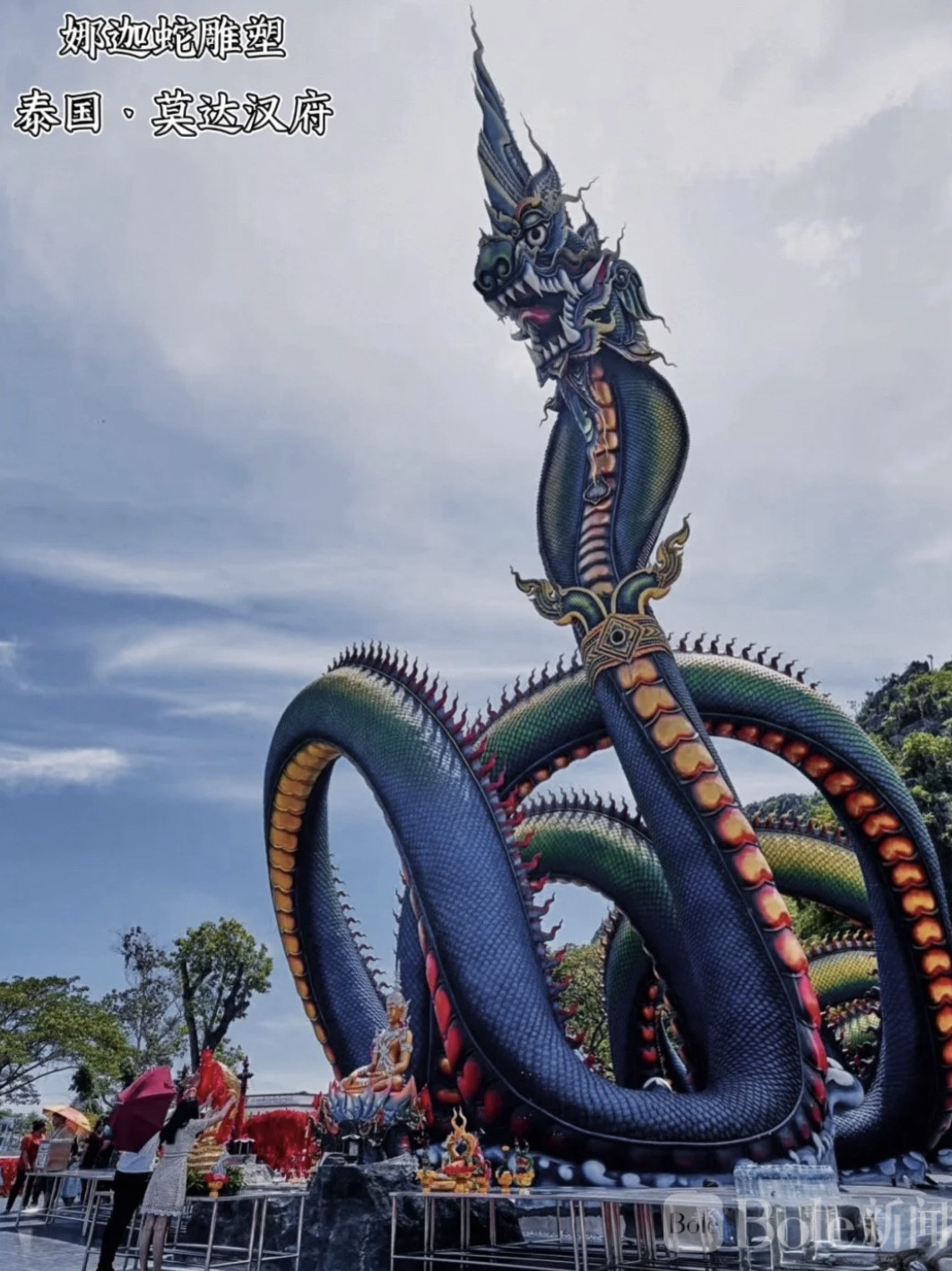 图像2026-5-18 15.53 (4).jpeg