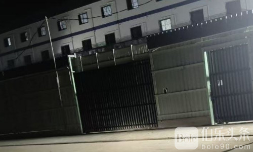 中国男子被骗进波贝园区，日劳16小时惨遭虐打、电击！