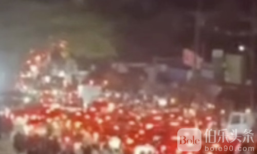 突发！波贝也开始大批撤离了，路上全是狗推