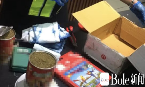 帕塞邮件中心截获价值891万比索干大麻 20个包裹被查扣